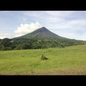 Meet your Posher, Autumn